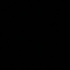 Meet your Posher, Preslie